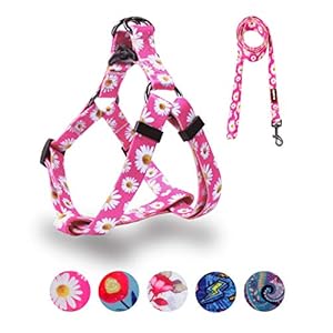 QQPETS Dog Harness Leash Set Adjustable Heavy Duty No Pull Halter Harnesses for Small Medium Large Breed Dogs Back Clip Anti-Twist Perfect for Walking (XS(12″-18″ Chest Girth), Daisy)