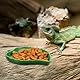 oruola 2 Stück Blatt Futternapf Reptilien,Reptilien Wasserschale,Terrarium Napf,Näpfe für Reptiliens & Amphibien,Wasserschale Terrarium,Igel Schale für Schlange,Schildkröte,Gecko,Landschildkröte