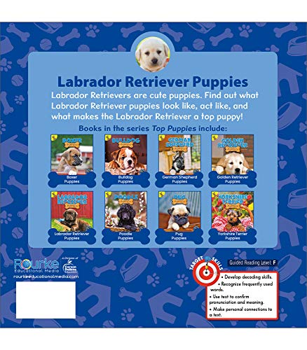 Ready Readers Scragg, Hailey Rourke Educational Media Top Puppies: Labrador Retriever Puppies―Children'S Book About Labs thumb #1
