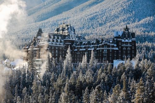 yJi_̕i|XgJ[hzotEXvOXze \ ቻς̐XɉfNVbNze |XgJ[h ͂ photo by MIRO