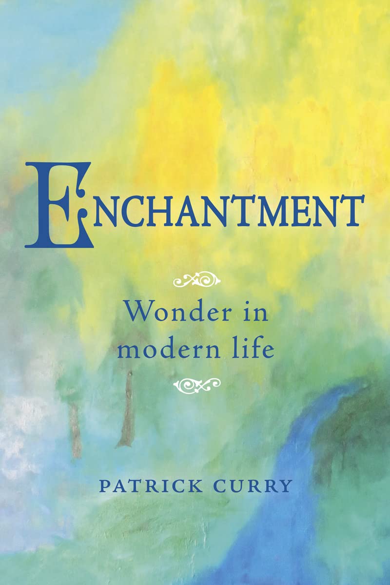 Enchantment: Wonder in Modern Life by Patrick Curry PAPERBACK 9781782506096