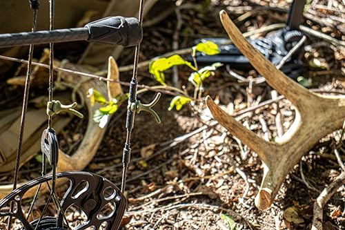 Amortisseur Wishbone réduisant le bruit et vibrations d'arc