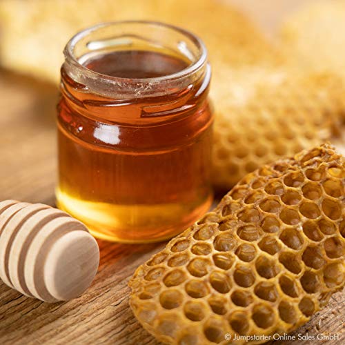 APISCURA Honig Propolis Lippenbalsam in der Dose | intensive Lippenplege mit Olivenöl, Bienenwachs, Honig & Propolis… – Bild 6