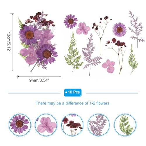 Flores secas prensadas naturales para manualidades miniatura 2