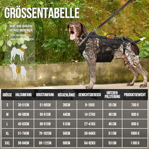 OneTigris Hundegeschirr, Invictus Hunde Tragehilfe für Mittelgroße Große, Einstellbar Gehhilfe für Hunde mit 3 Griffen für behinderte, verletzte oder ältere Schwarz M