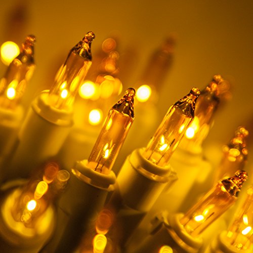 Kringle Traditions White Wire Gold Christmas Lights, Wedding Mini Lights, Home Party Lights â€“ Canopy Outdoor Lights, White Wire Mini Lights (50 Lights, 17 Ft, Gold)