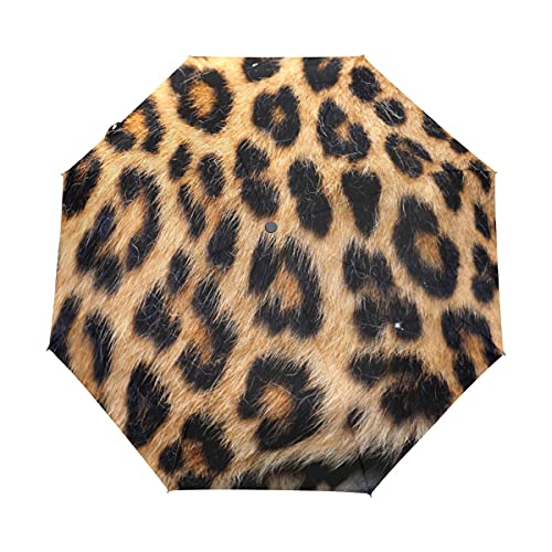 LUYISI P ܂肽 y J ^ ܂ݎP fB[X uvJbg ^b` OXt@Co[ Jp [|[`t