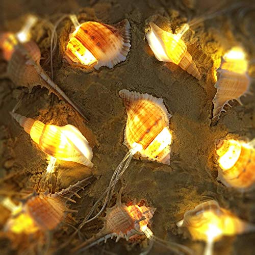 Starryfill Ocean Real Conch 10 Led String Lights 9.0Ft Waterproof Battery Operated Warm White With Timer Control For Beach Themed Indoor Covered Outdoor Birthday Wedding Parties #TOP1