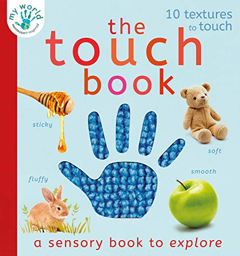 The Touch Book: a sensory book to explore