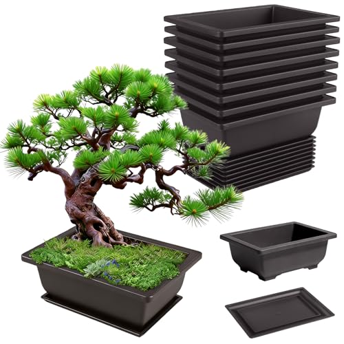 GBKDQQ Juego de 8 cuencos para bonsái, 16,5 x 12 x 6 cm, maceta para bonsái reutilizable de plástico, macetas para bonsáis adecuadas para patios, salones, balcones, jardines, oficina (negro)
