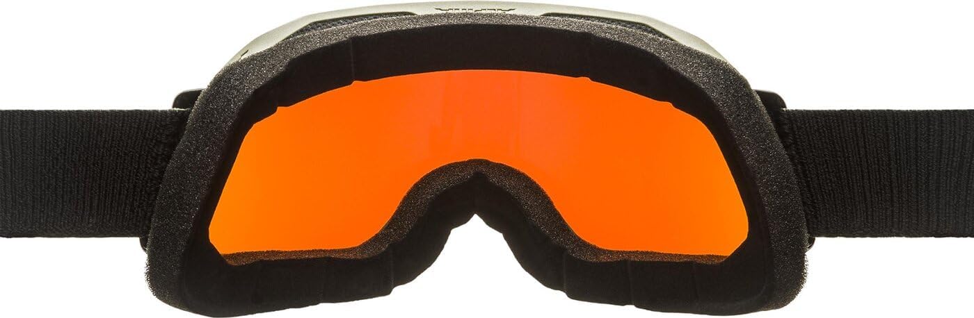 Amazon | 【A7288871】ALPINA アルピナ ゴーグル BLACKCOMB Q