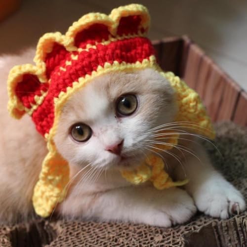 LXq 蕨 RXv ybgpXq jbgX ҂ nEB  ʔ ڂɗ ANZT[ Lp p RX`[X EȒP ϐg Be