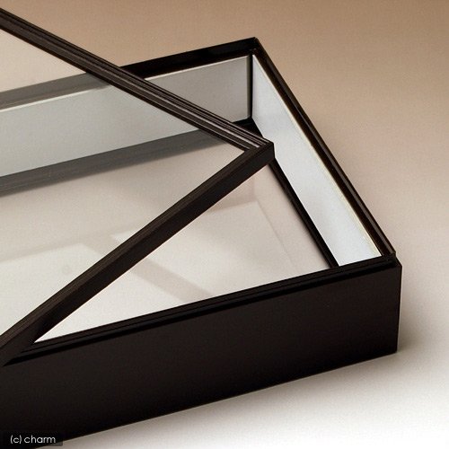 Amazon.co.jp: シーラ箱 （両面ガラスタイプ） 昆虫 標本用品