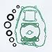 KIPA Engine Head Gasket Kit Complete Set for Yamaha Blaster YFS200 1988-2006 with Oil Seals Asbestors-Free