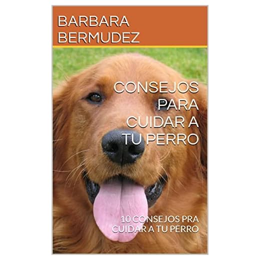 CONSEJOS PARA CUIDAR A TU PERRO: 10 CONSEJOS PRA CUIDAR A TU PERRO
