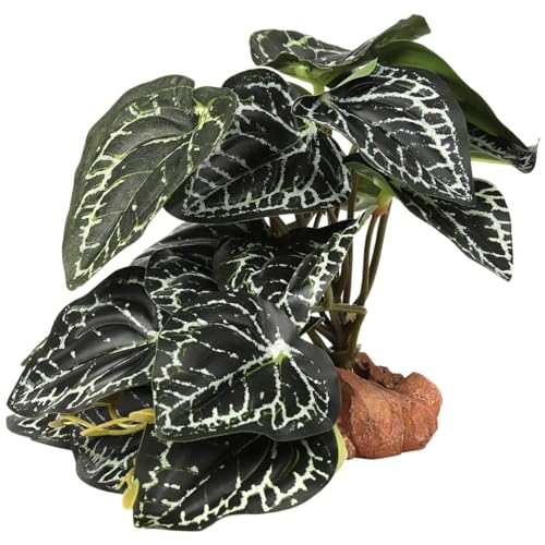 WOLEDOE Fake Anthurium Crystallinum Reptile Terrarium Plants for Gecko
