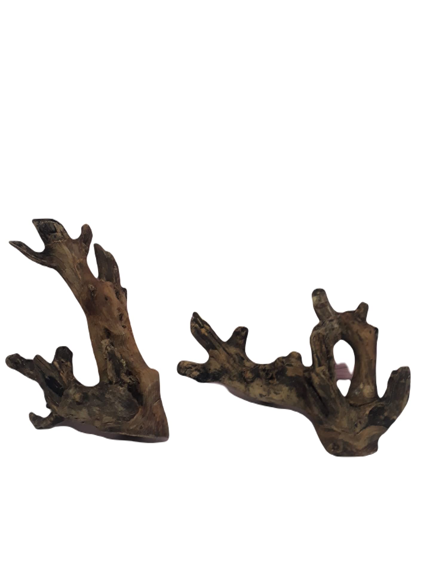 Driftwood for Aquarium Teak Wood Two Pieces (Random Shape)