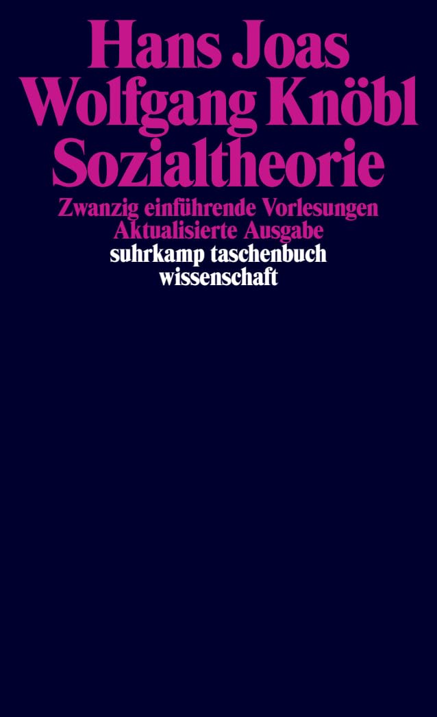Sozialtheorie: Zwanzig einführende Vorlesungen (suhrkamp taschenbuch wissenschaft)