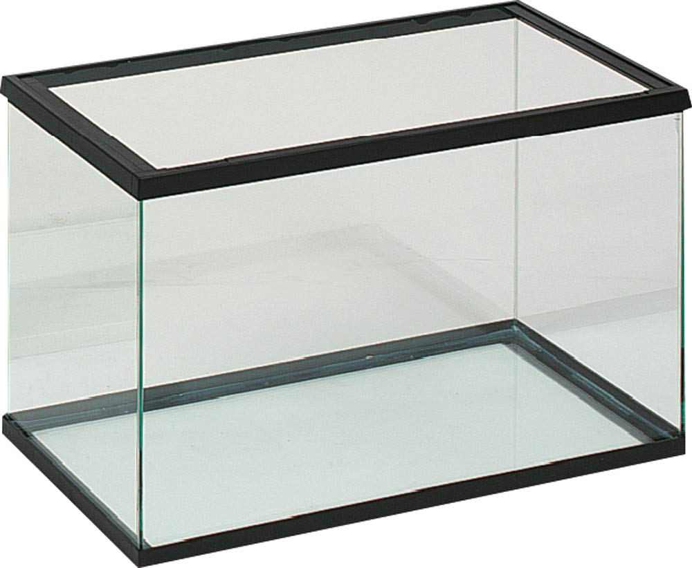 Flamingo 40300308 - Acquario in Vetro, 60 x 30 x 35 cm, Colore: Nero
