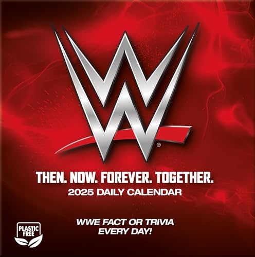 TURNER LICENSING Calendario de caja WWE 2025 (25998053120)