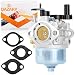 Produktbild QAZAKY Vergaser für 801396 801233 801255 38518 38584 38538 084133 084233 084332 084333 Toro 38581 38582 38583 38584 38600 38601 38602 3 8603 38610 38611 CCR2400 CCR3000 CCR3600 CCR3650 CCR3650 GTS210
