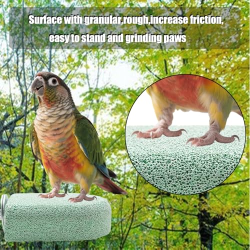 Image of Pet Teeth Grinding Stone and Perch, Bird Perch Stands, Natural Chewing Toys for Small Medium Birds Budgies Conures Cockatiels Rats, Cyan and Purple