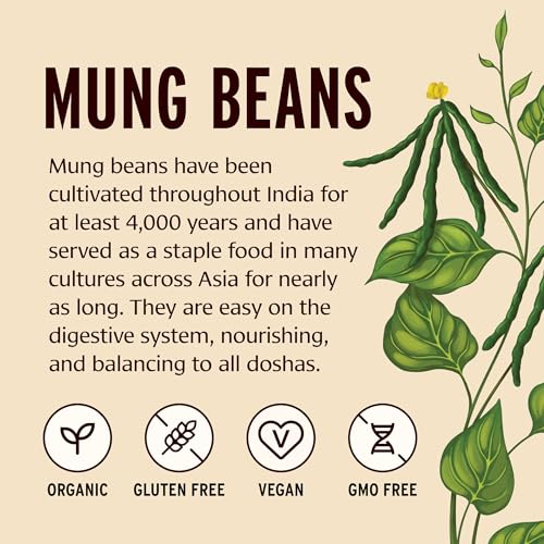 Banyan Botanicals Green Mung Beans – Whole Organic Green Mung Beans for Cooking High Protein Vegetarian Meals – Easy Digestion Meal – 1.65 lb. – Non-GMO Gluten Free Vegan