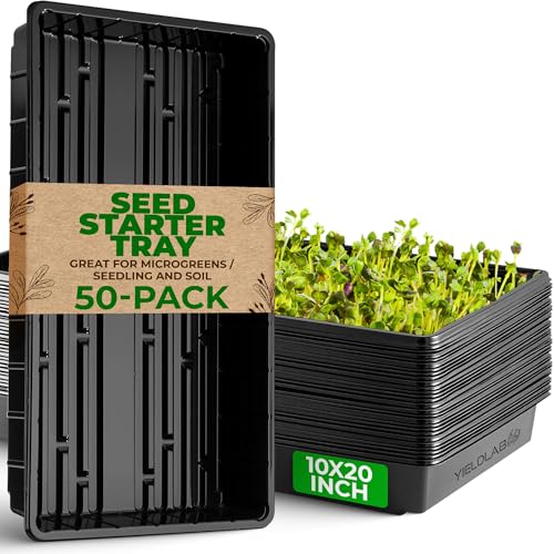 Image of 10x20 Inch Black Plastic 50 Pack Plant Propagation Tray No Holes