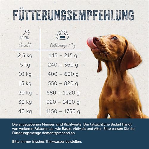 Lakefields Premium Hundefutter Nass | Huhn 61% | 6 x 800g | Getreidefreies Nassfutter für Hunde | Natürliche Zutaten in Lebensmittelqualität | Karotten, Kartoffeln & Apfel | Schonend gegart