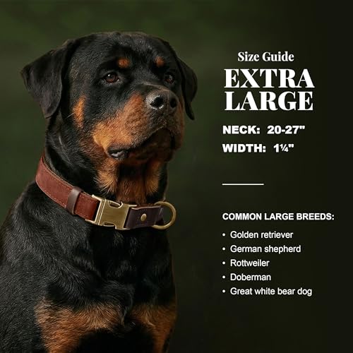 Image of Didog PU Leather Dog Collar for Large Dogs, Soft Nylon Lining, Brown XL