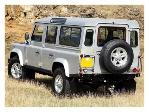 Feux Circulation LED XFC100550 éclairage plaque Land Rover Defender 109