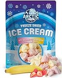 Arctic Farms Freeze Dried Ice Cream that Does Not Melt (Strawberry Banana)