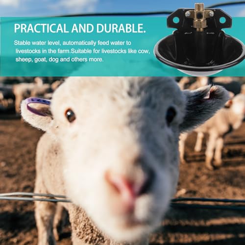 Bebedero automático Uonlytech de hierro y cobre antioxidante para ovejas y cabras 5