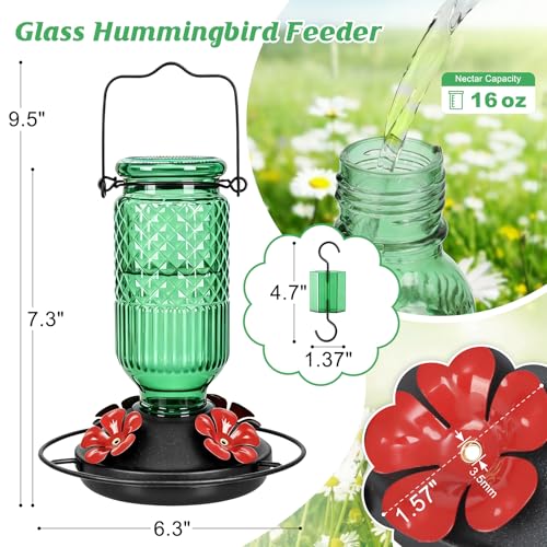 Image of FEED GARDEN Glass Hummingbird Feeder 2 Pack, 16oz Leak-Proof with Ant Moat & Bee Guards, Easy Clean Wide Mouth, Metal Perches, Green Outdoor Hanging