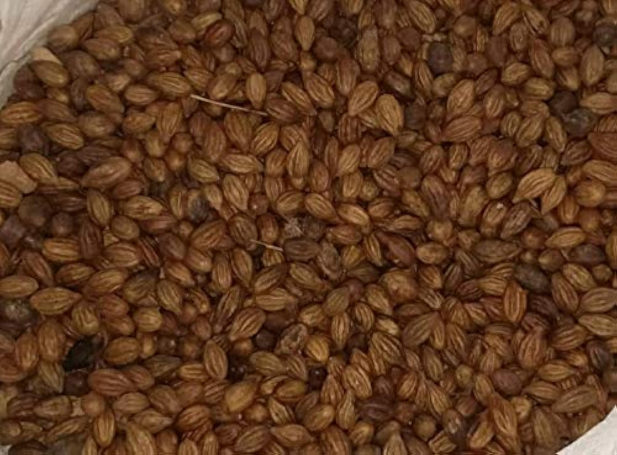 Harad Badi, 400g Traditional Herb