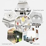 DiCUNO G4 LED Bulbs 2W Cool White 6000K, 20W Halogen Equivalent, 12V, G4 Bi-Pin LED Light Bulbs, Non-Dimmable Light for Home Lighting, 200LM, Pack of 10 - Image 7