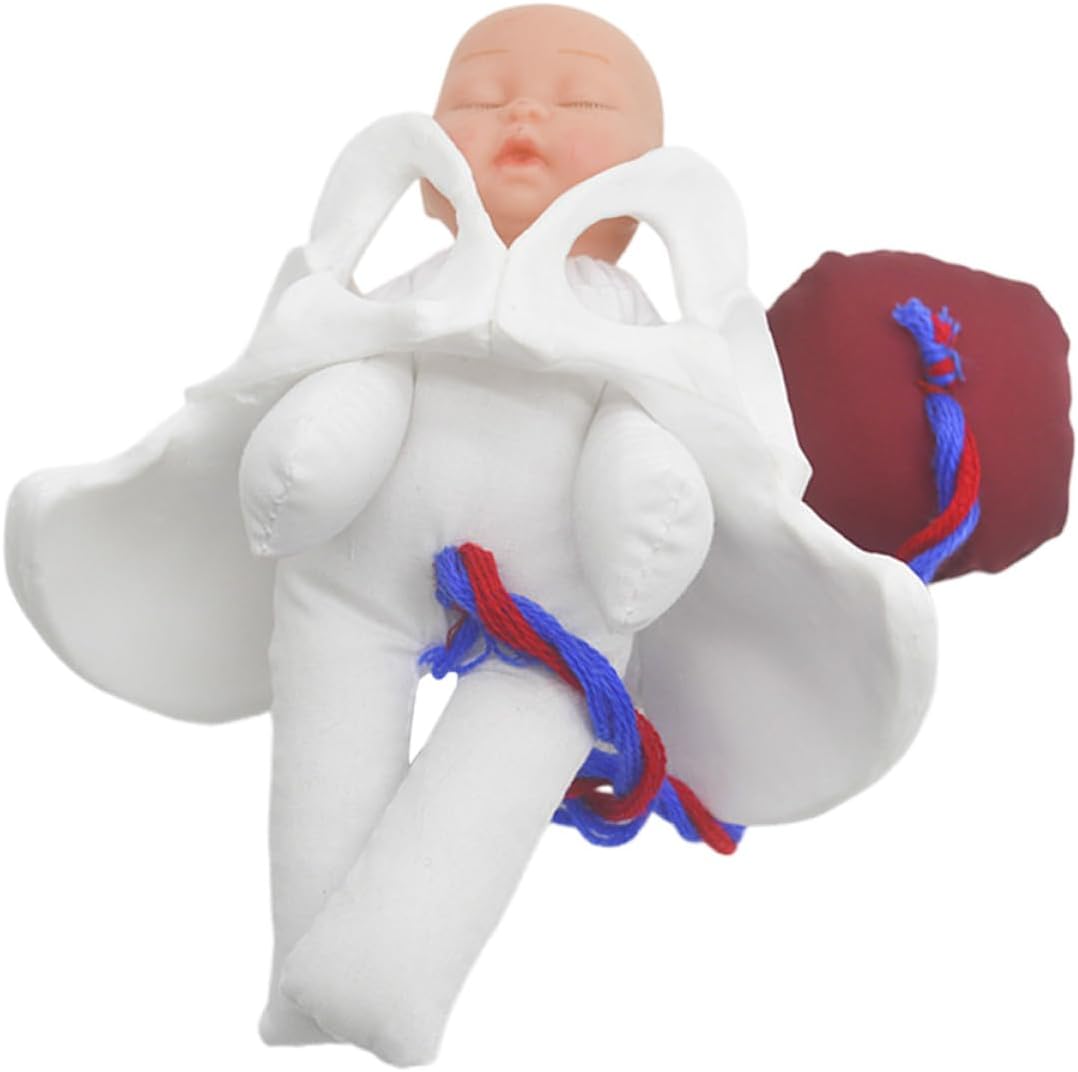 VOSAREA Childbirth Simulation Pelvis Model with Fetus, Umbilical Cord, and Placenta – Midwifery Education Tool for Student Training and Birth Demonstration in Female Health