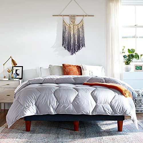 Layla Down Alternative Comforter | Oeko-Tex Certified Comforter | All Season Duvet | Unique Hexagon Stitch | Premium Luxury Cotton Bird Friendly Material (White, Twin/Twin XL)