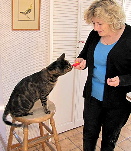 PSK PET MART Training Clicker with Wrist Strap for Bird/Parrots/Cockatiel/Budgies/African Grey/Cockatoo (1 pcs) (Color May Very) 4