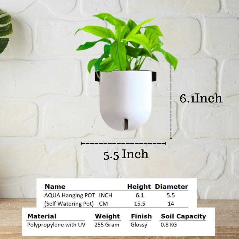 Image of Indian Discovery Self Watering Wall Hanging Planter| Hanging /Hooked Flower Pots for Home, Terrace, Balcony, Vertical Garden Decor Flower Pots(2 PC,WHITE,SPHERE)|6 Inch UV-Resistant Plastic Plant Pots