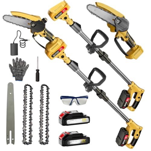 2-in-1 Cordless Pole Saw & Mini Chainsaw