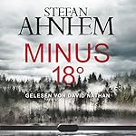 Minus 18 Grad (Ein Fabian-Risk-Krimi 3)