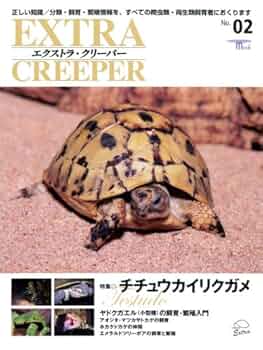 爬虫類両生類情報誌　クリーパー　2号 爬虫類両生類情報誌 クリーパー 2号 爬虫類両生類情報誌