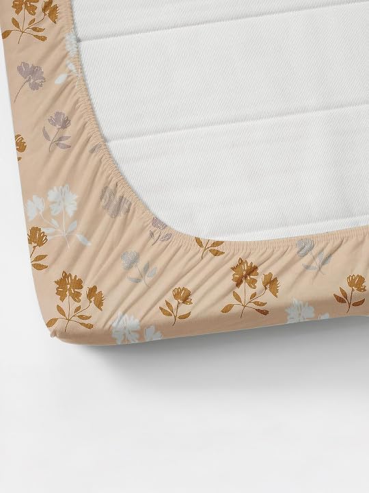 Image of 380 TC Premium Glace Cotton Elastic Fitted Bedsheet King Size with 2 Pillow Covers King Size | Double Bed with All Around Elastic (Honeybee, Fitted - 72 inchx78 inch King)