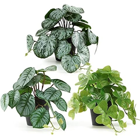 ALAGIRLS 3 Packs Realistic Fake Plants Cover