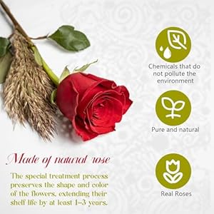 Preserved flowers heart shape box 16 preserved roses immortal red roses gift for her eternal fresh flowers for mothers day women valentines day gifts for wife  urban country home decor