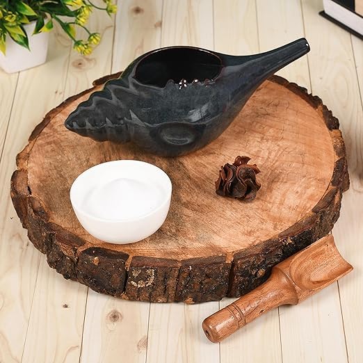 Image of Leak Proof Durable Ceramic Neti Pot with Nostril Plugging Support Better Capacity Holds 300 ml Spill Proof with Comfort Grip Lead Free Microwave Dishwasher Safe (Dark Green)