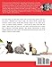 Pet Preparedness: A Household Handbook for Pet Owners (31 Small Steps)