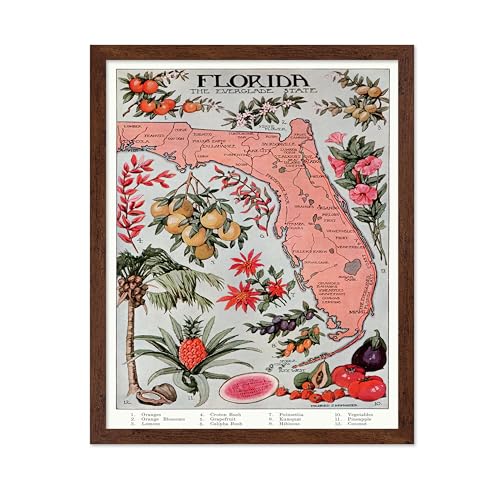 Poster Master Florida Vintage Map Poster - Fruity & Floral Map Print - Unique Wall Decor Gift for Home, Living Room, Kitchen, Bedroom, Bathroom - Illustrative Atlas Poster, 16x20 Brown Framed