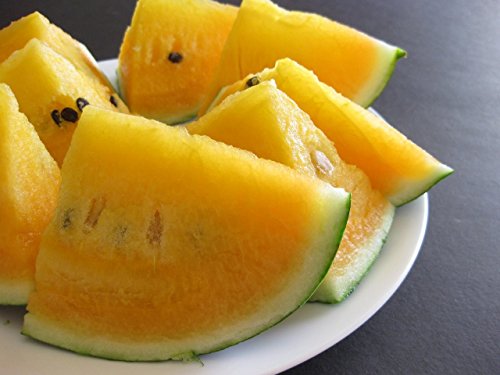 Seedsup - 30+ Yellow Flesh Doll Babies Desert King Watermelon (Not Seedless, With Few Seeds) - Fruit #TOP7